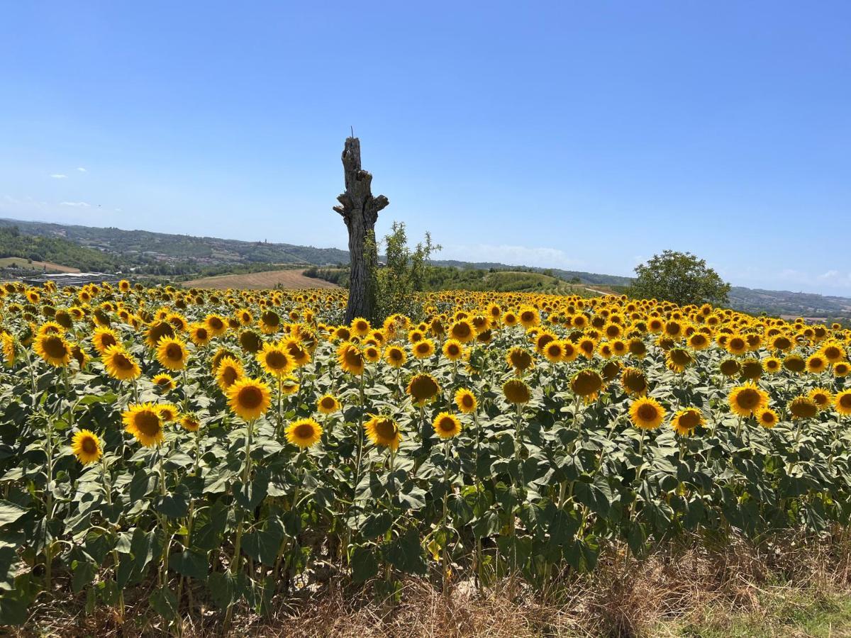 Il Basin Bed and Breakfast Calliano  Εξωτερικό φωτογραφία